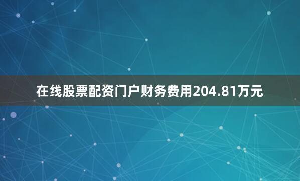在线股票配资门户财务费用204.81万元